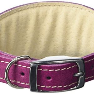 BBD-Pet-Products-Whippet-Collar-One-Size-34-x-10-to-12-Inch-Boysenberry-0.jpg